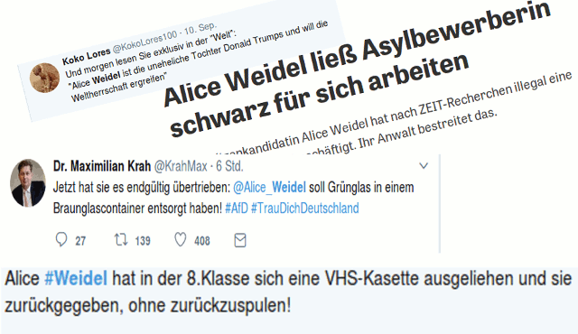 Alice-Weidel-Skandale