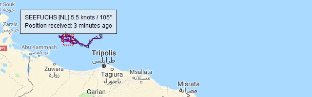 Seefuchs libysche Küste